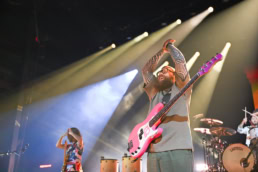 Bass guitarist with pink bass performing live at Dallas, Texas concert event photography