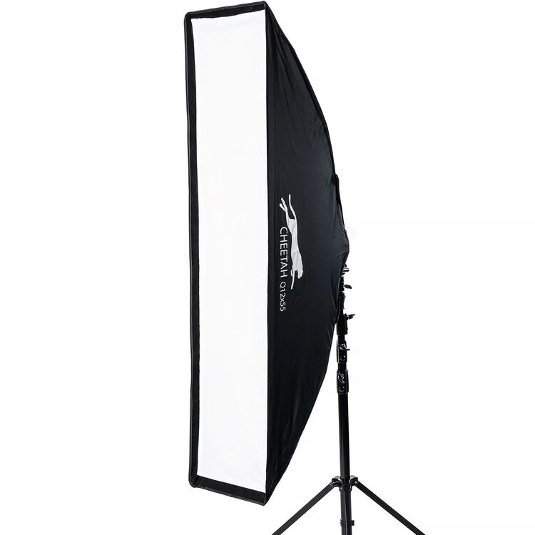 Cheetah Stand 12x55 quick collapse strip box for edge and rim lighting
